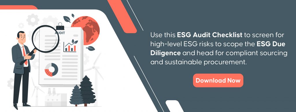 Download ESG Audit Checklist