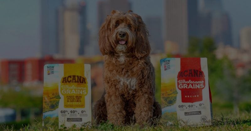 Petfood Manufacturer